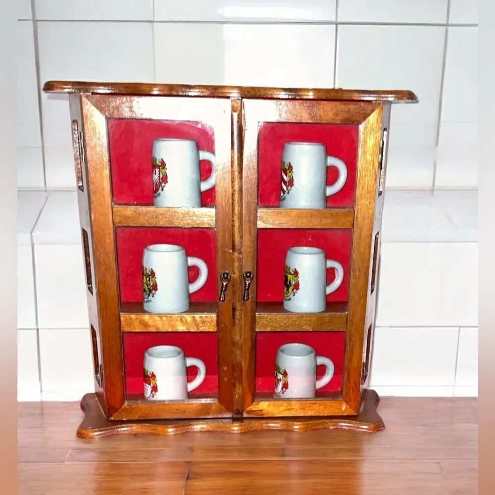 Rare Collectible 6 German Mini Beer Mugs/Steins in a Wooden Display Case